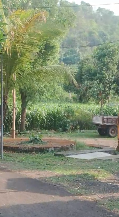 BANSWARA