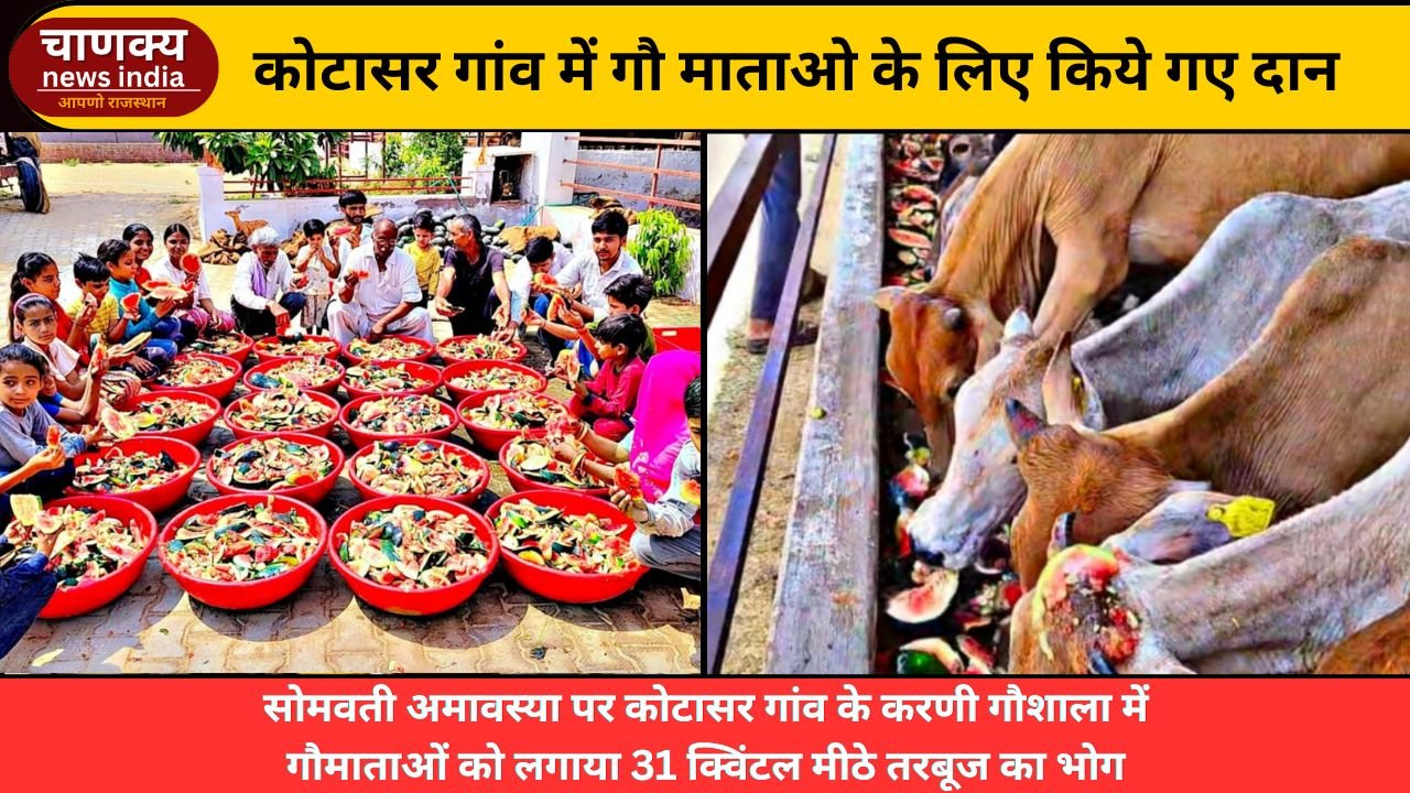 BIKANER // करणी गौशाला में सोमवार को गौ माताओं को 31 क्विंटल मीठे तरबूज का भोग लगाया गया