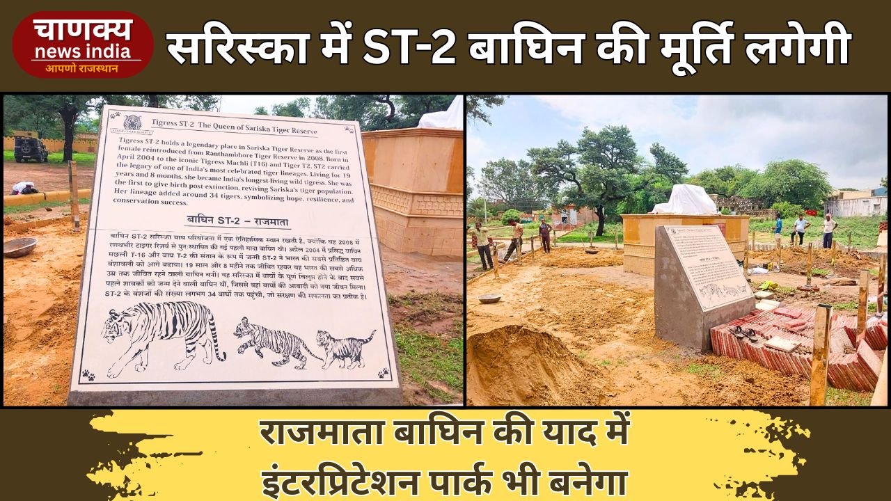 ALWAR (Sariska Tiger Reserve)