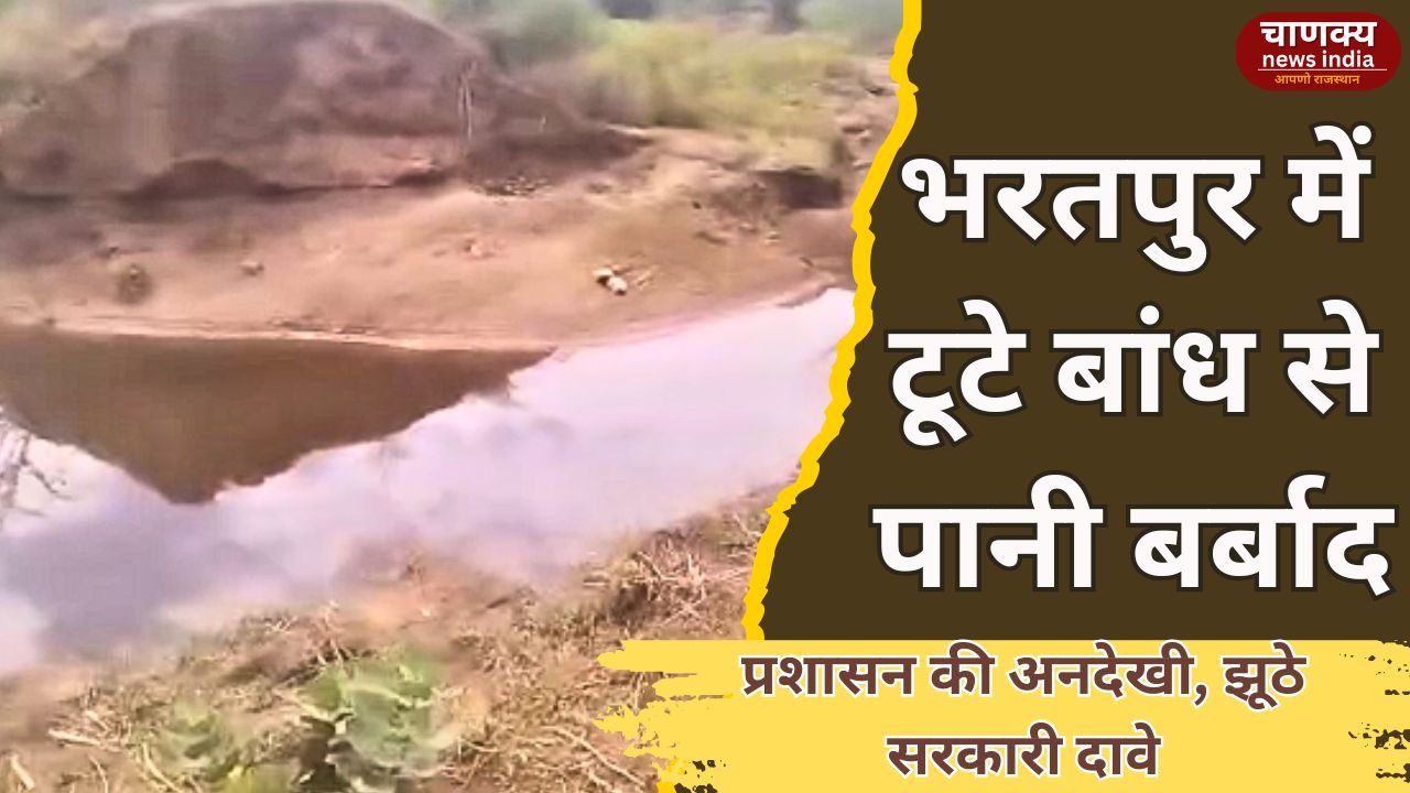 BHARATPUR // सरकारी दावे झूठे, टूटा बांध नहीं सुधरा, बर्बाद हुआ बारिश का पानी
