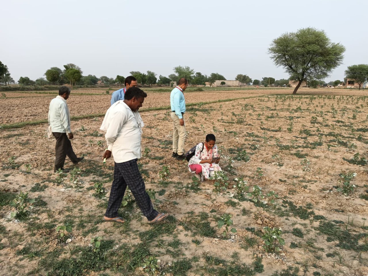ALWAR