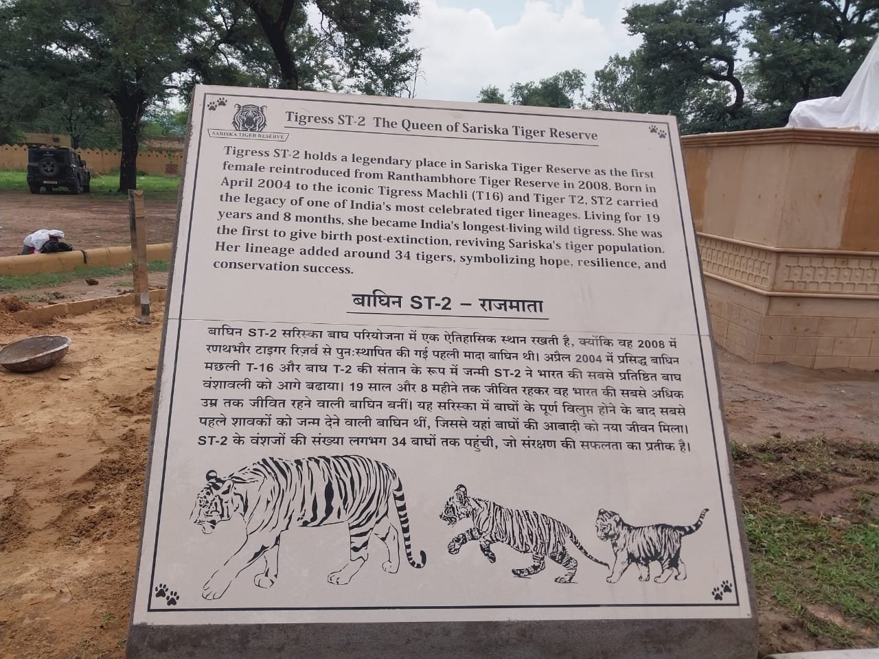 ALWAR (Sariska Tiger Reserve)