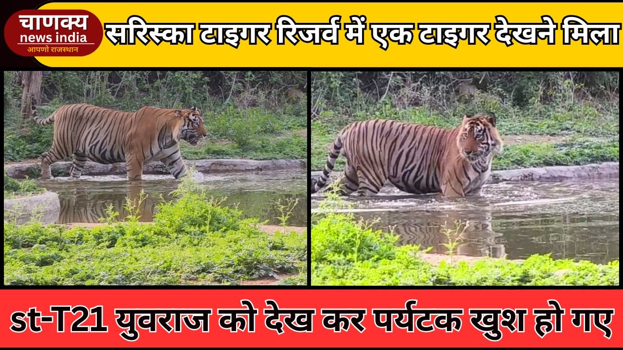 ALWAR