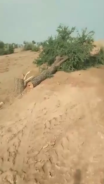 BIKANER