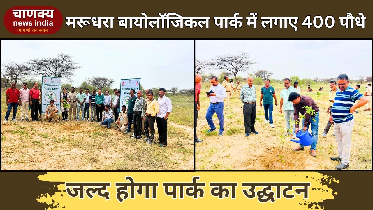BIKANER// बीकानेर डिस्ट्रिक्ट माइंस ऑनर एसोसिएशन ने मरूधरा बायोलॉजिकल पार्क में लगाए 400 पौधे