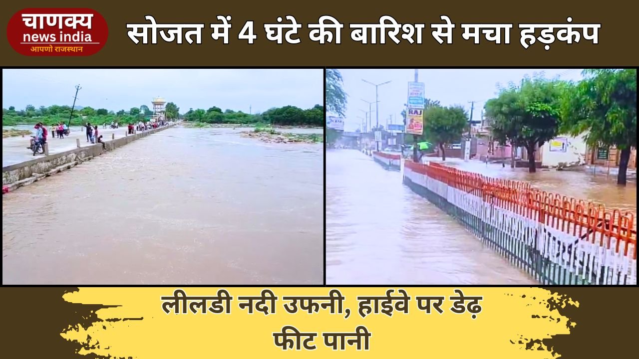 PALI // तेज बारिश से पाली की लीलडी नदी उफनी