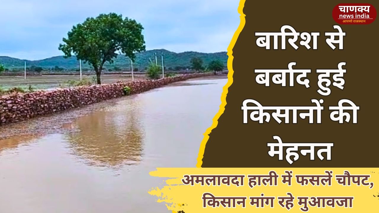 BARAN // अमलावदा हाली गांव में भारी बारिश से फसलें तबाह
