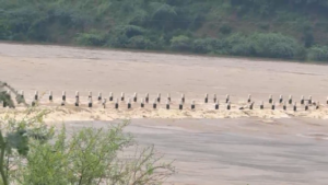 SAWAI MADHOPUR