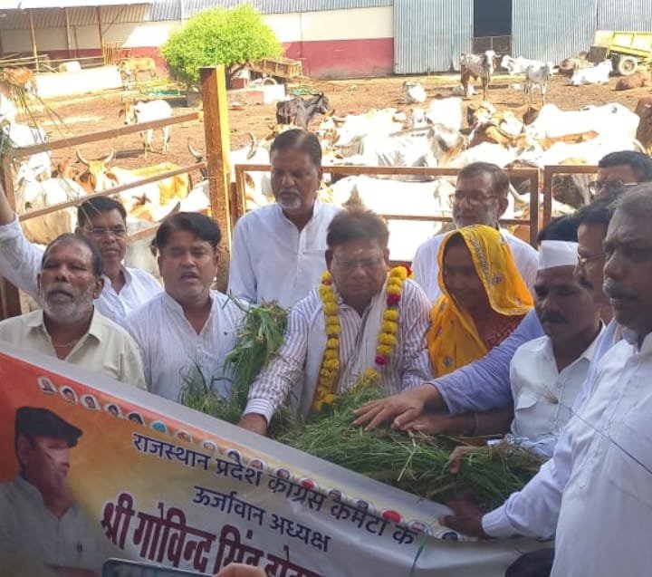 TONK// कांग्रेस पदाधिकारियों ने गौशाला में सेवा कर मनाया डोटासरा का जन्मदिन