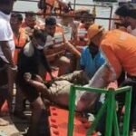 वृंदावन हादसा-11 पर्यटकों की मौत, 4 अभी लापता:यमुना में 250 गोताखोर तलाश कर रहे; लोगों को मरता छोड़कर भागा नाव मालिक गिरफ्तार